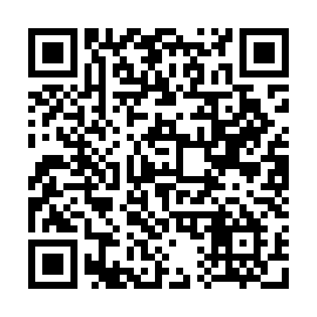QR code for 313MLM