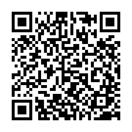 QR code for 313MNS