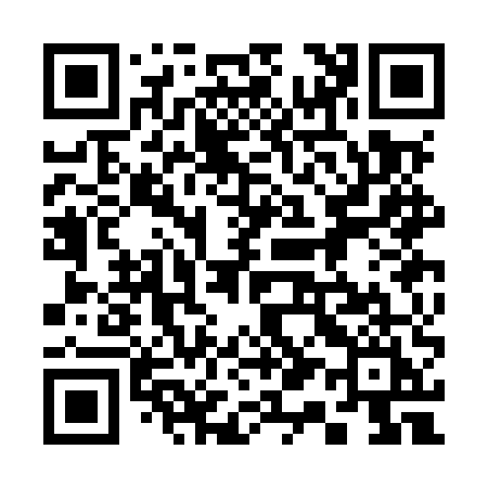 QR code for 313MUI