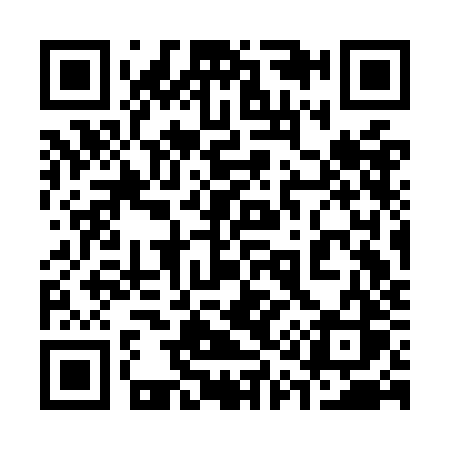 QR code for 313OJS