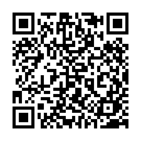QR code for 313PEL