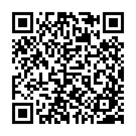 QR code for 313PTO
