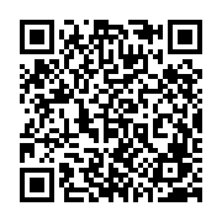 QR code for 313QFV
