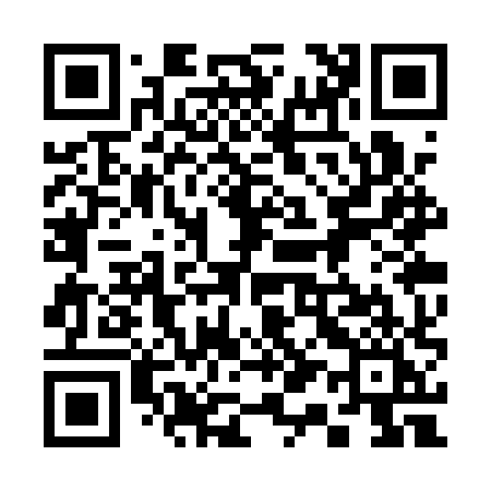 QR code for 313QXI