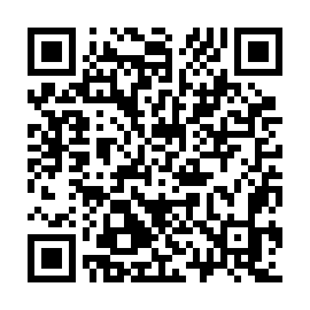 QR code for 313ROK