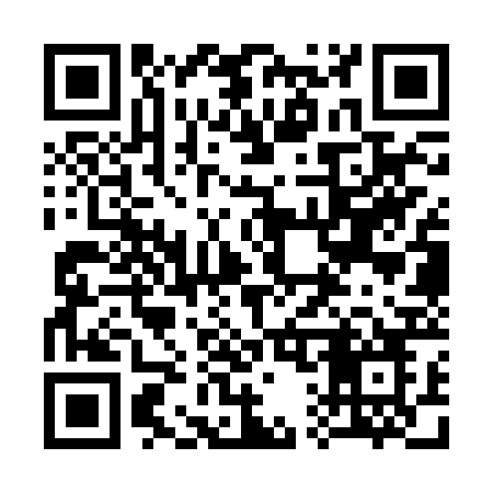 QR code for 313RRO