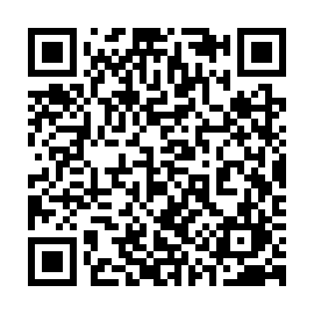 QR code for 313SRL