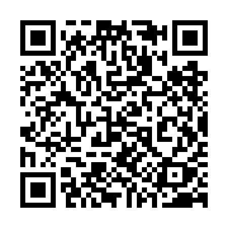 QR code for 313WAY