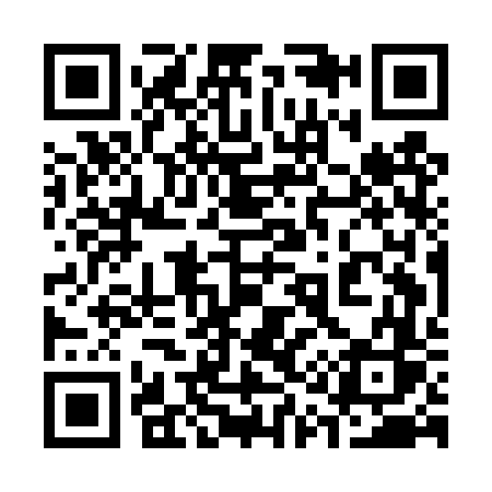 QR code for 315DVS