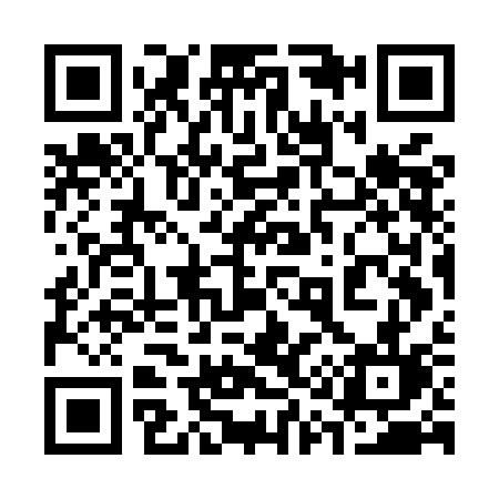 QR code for 317MCL