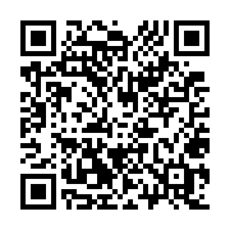QR code for 317WMD