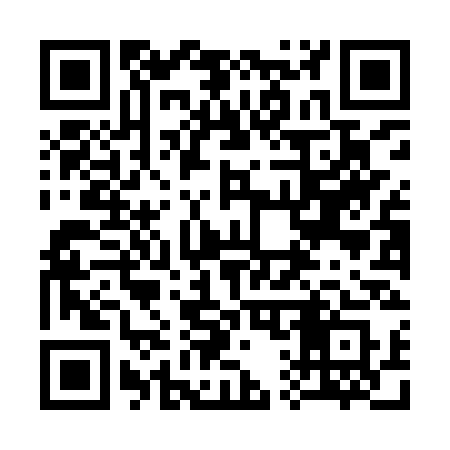 QR code for 318ISS