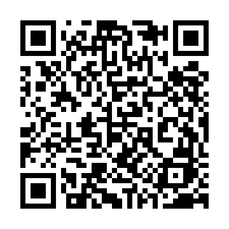 QR code for 319EFJ