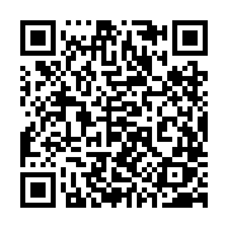 QR code for 319SLX