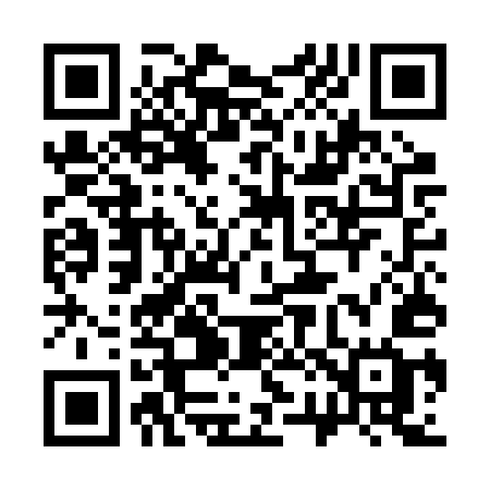QR code for 325BUG