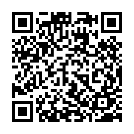 QR code for 325PET