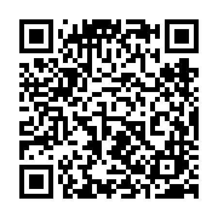 QR code for 325VNL