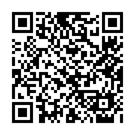 QR code for 330VEF