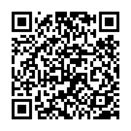 QR code for 333DIQ