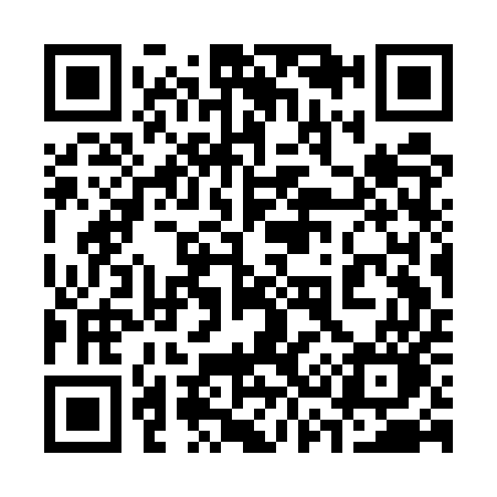 QR code for 333EUO
