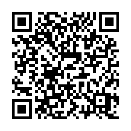 QR code for 333IFT