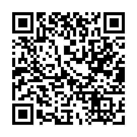QR code for 333SRS
