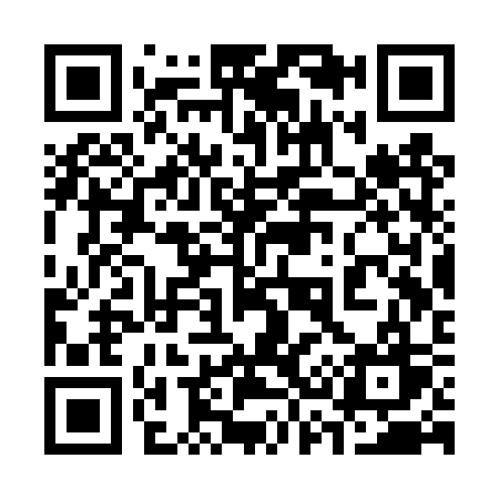 QR code for 333TSW