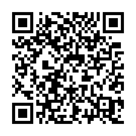 QR code for 333WTA