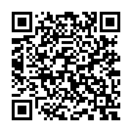 QR code for 333XIU