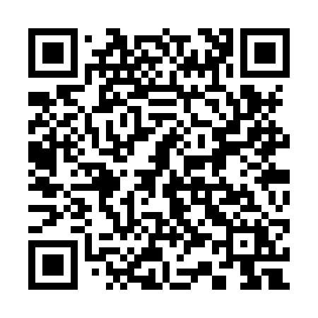 QR code for 333XRX