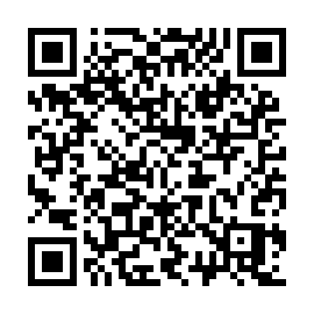 QR code for 333YCS