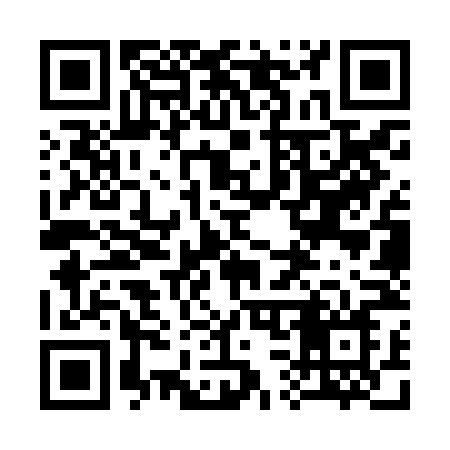 QR code for 333ZNN