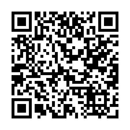 QR code for 335BXL