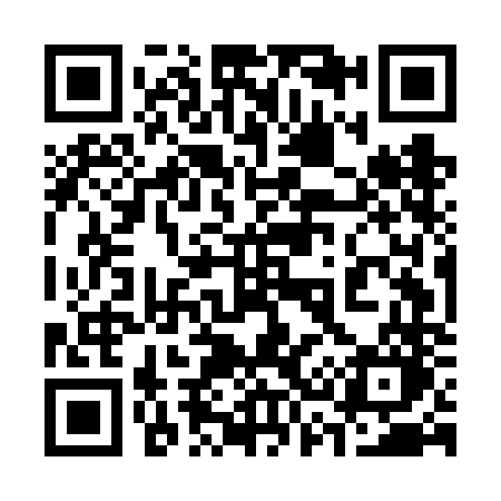 QR code for 335FNO