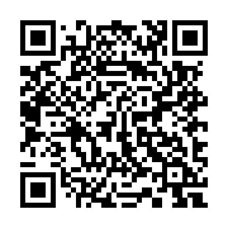 QR code for 335MYF