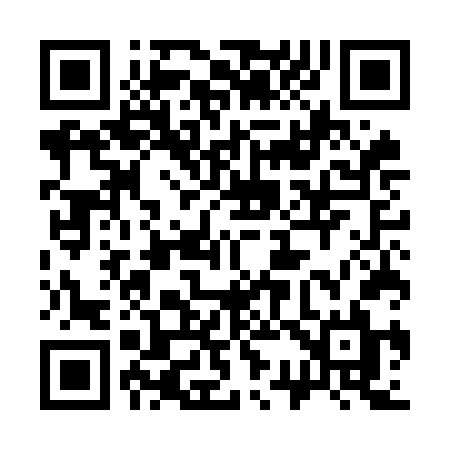 QR code for 335OFL