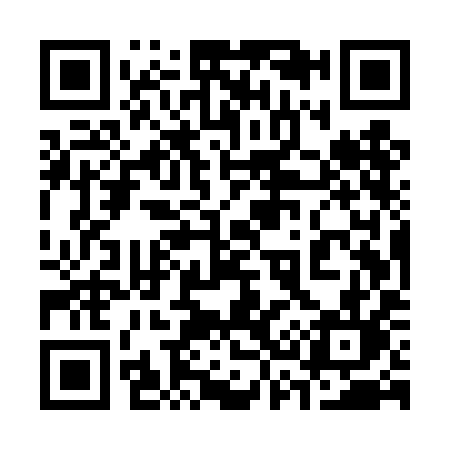 QR code for 335TIL