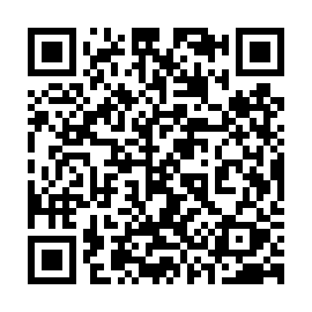QR code for 335TRY