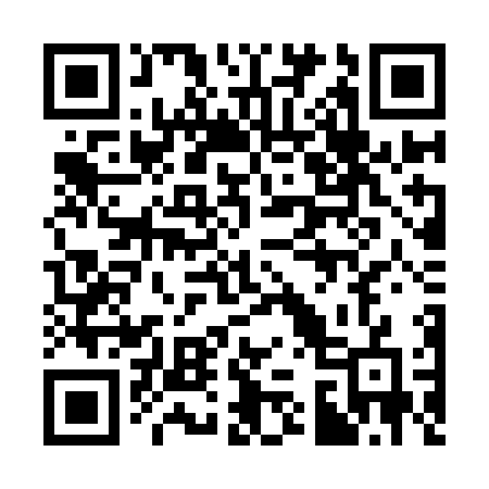 QR code for 335YNG