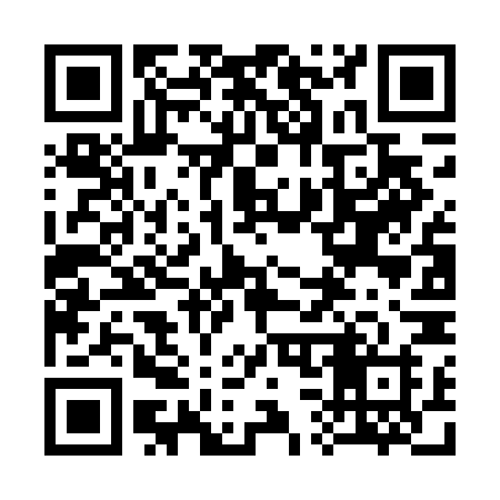 QR code for 336DNH