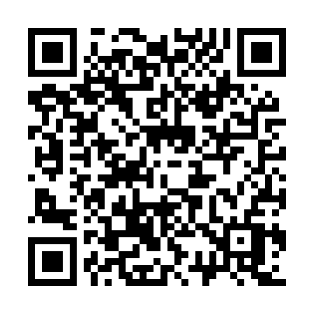 QR code for 336MSV