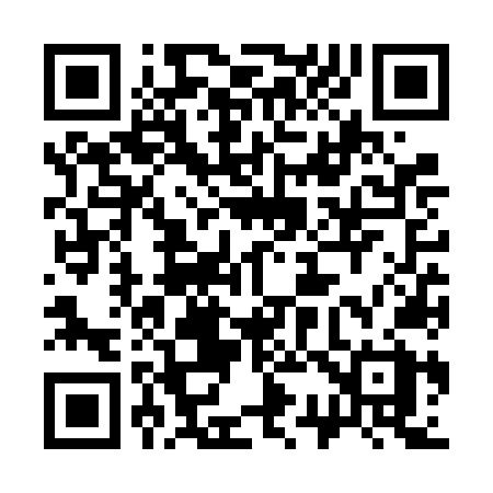 QR code for 336VNX