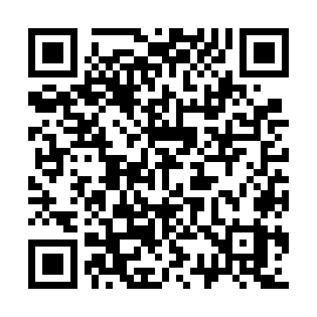 QR code for 336VOY