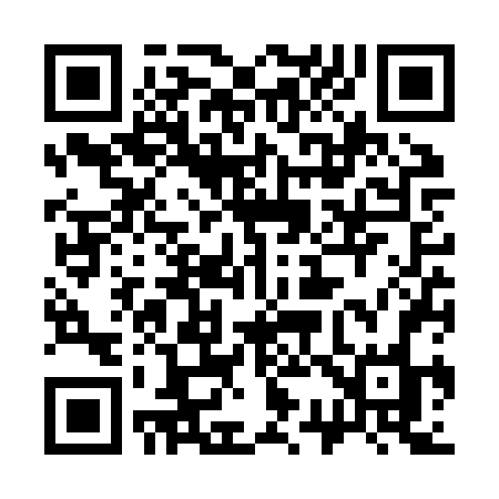 QR code for 336ZVO