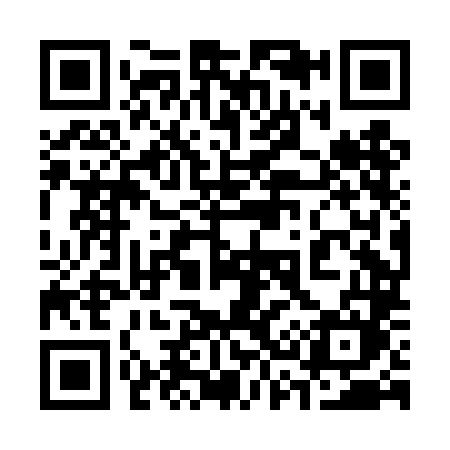 QR code for 338DLM