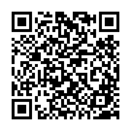 QR code for 338DNN