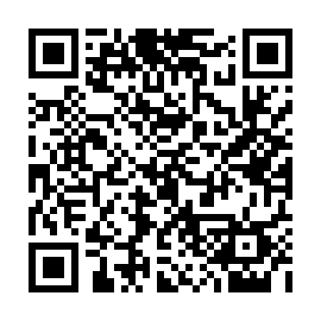 QR code for 338MST