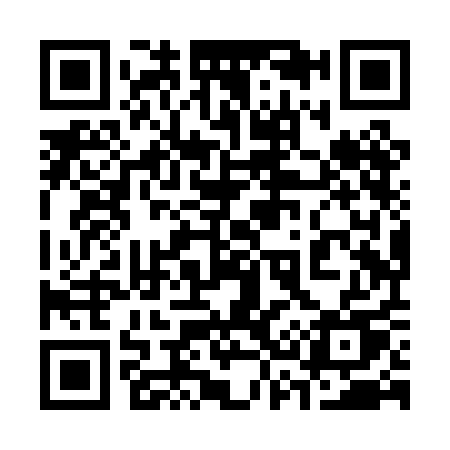 QR code for 338PAU