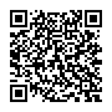 QR code for 338VDK
