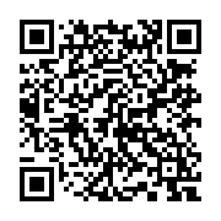 QR code for 339LEZ